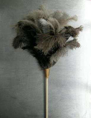 Feather Duster