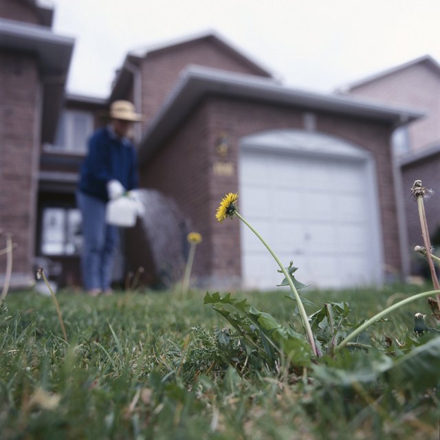 Is Scott’s Lawn Fertilizer Safe for Kids?