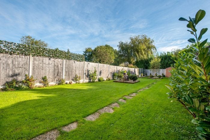 9 Worst Garden Pests, and How to Get Rid of Them