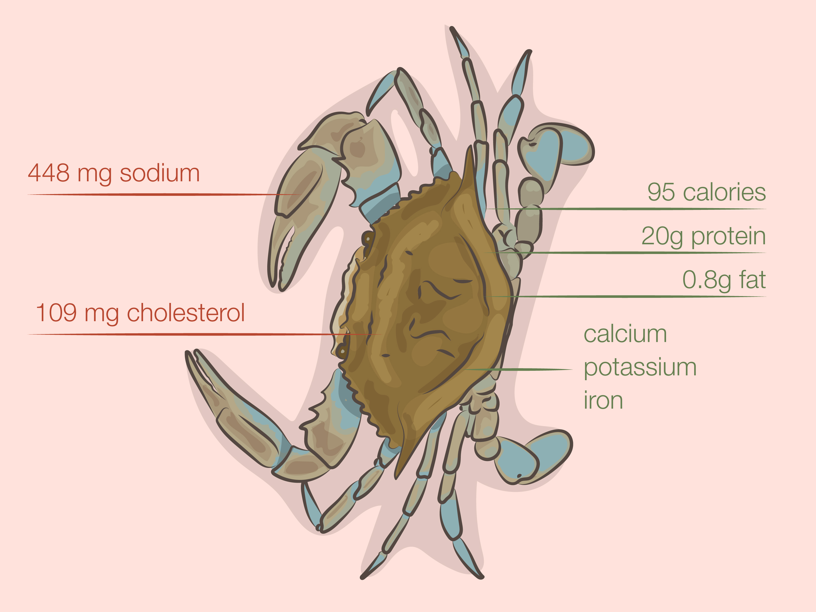 How to Eat Soft Shell Crab: Buying, Cleaning & Cooking Guide