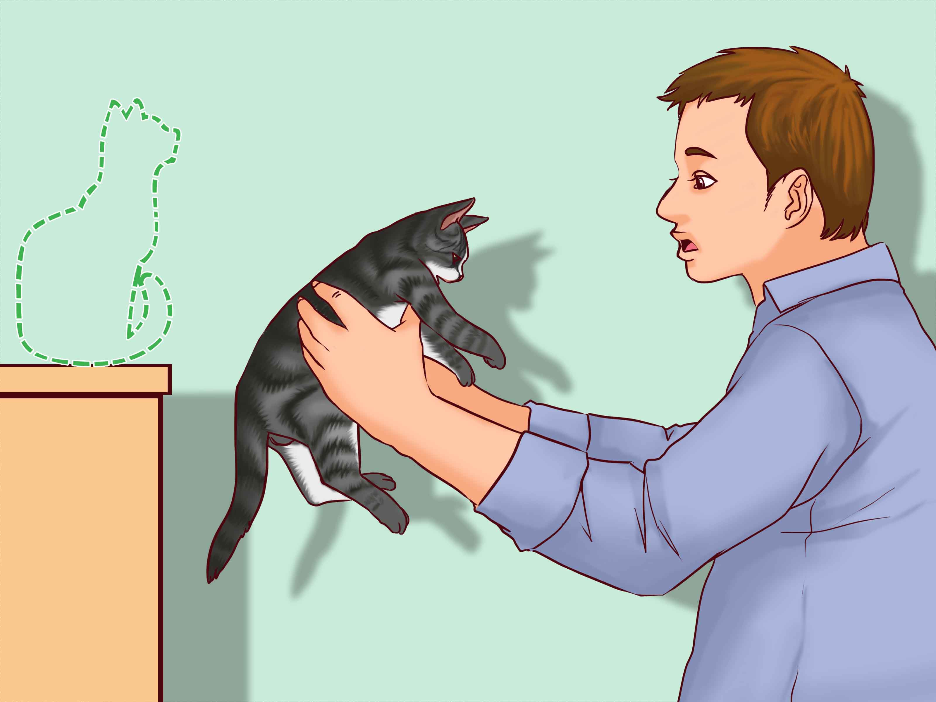 How to Speak Cat: Understanding Noises, Body Language, Tone
