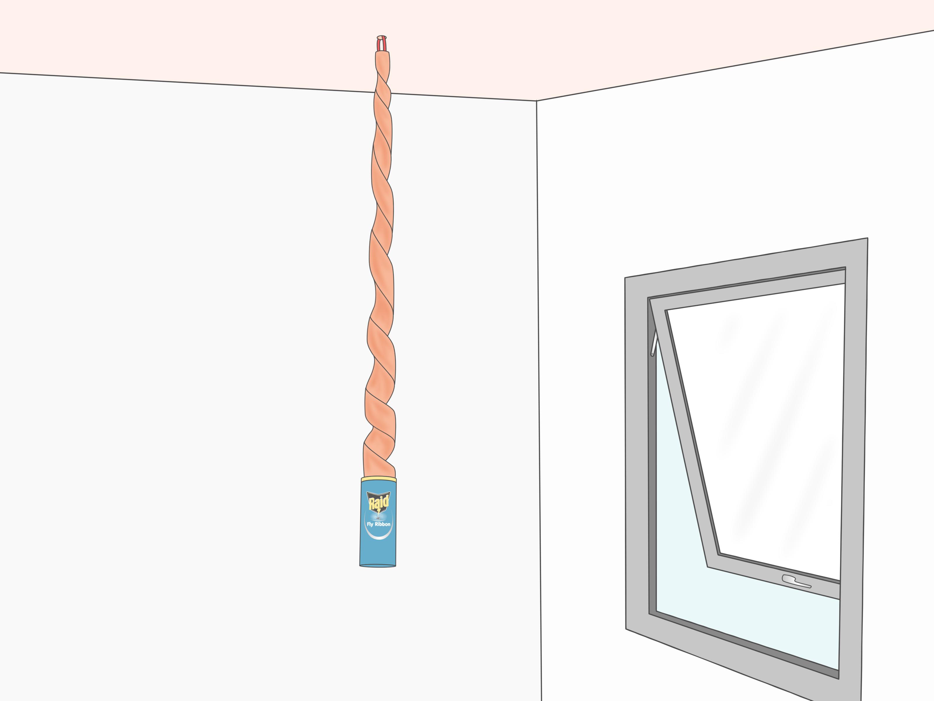 How to Use Raid Fly Ribbon: 7 Steps