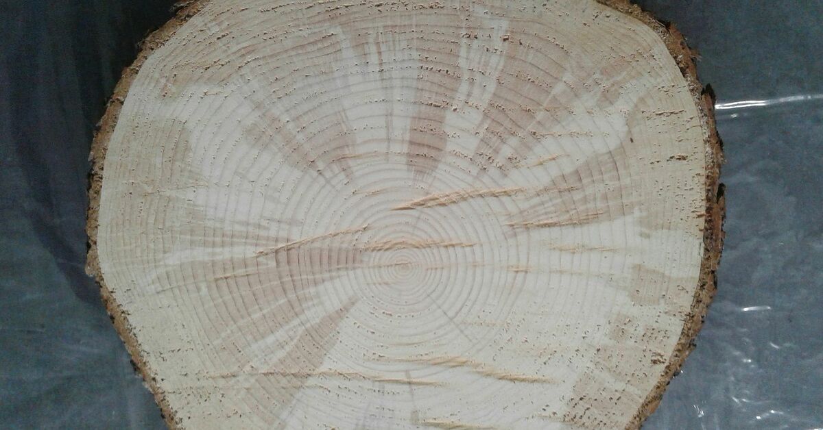 How to Make an Epoxy Glass Tree on a Wood Slice DIY
