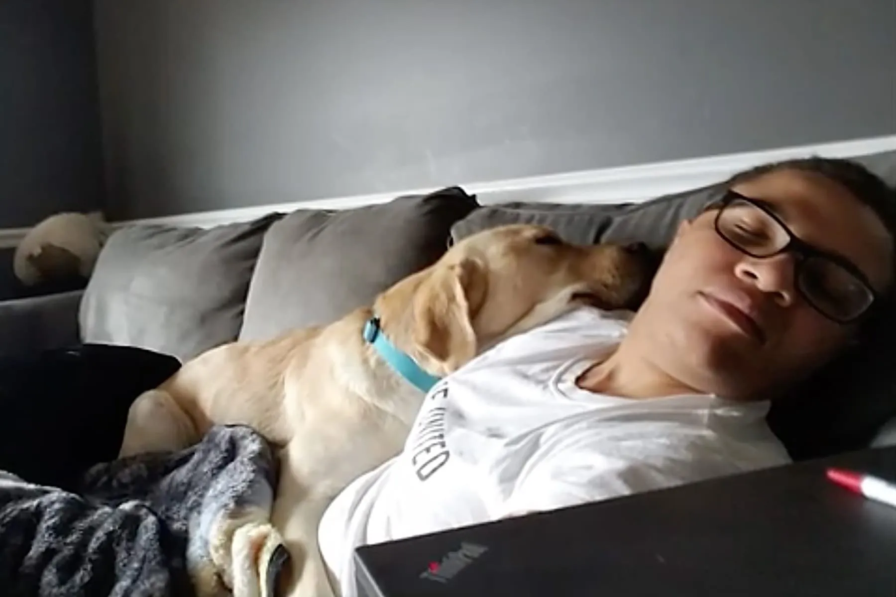 Narcolepsy Video: A Sleep Disorder With Naps and Night Terrors