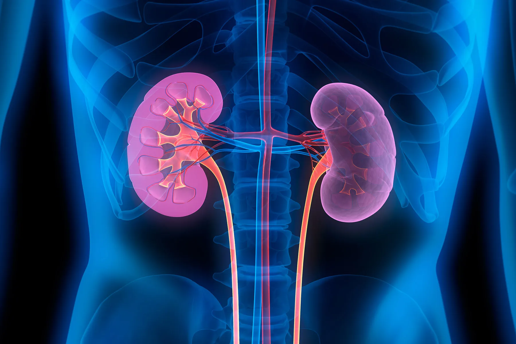 Kidney Disease: Causes, Symptoms, Treatment, and Prevention
