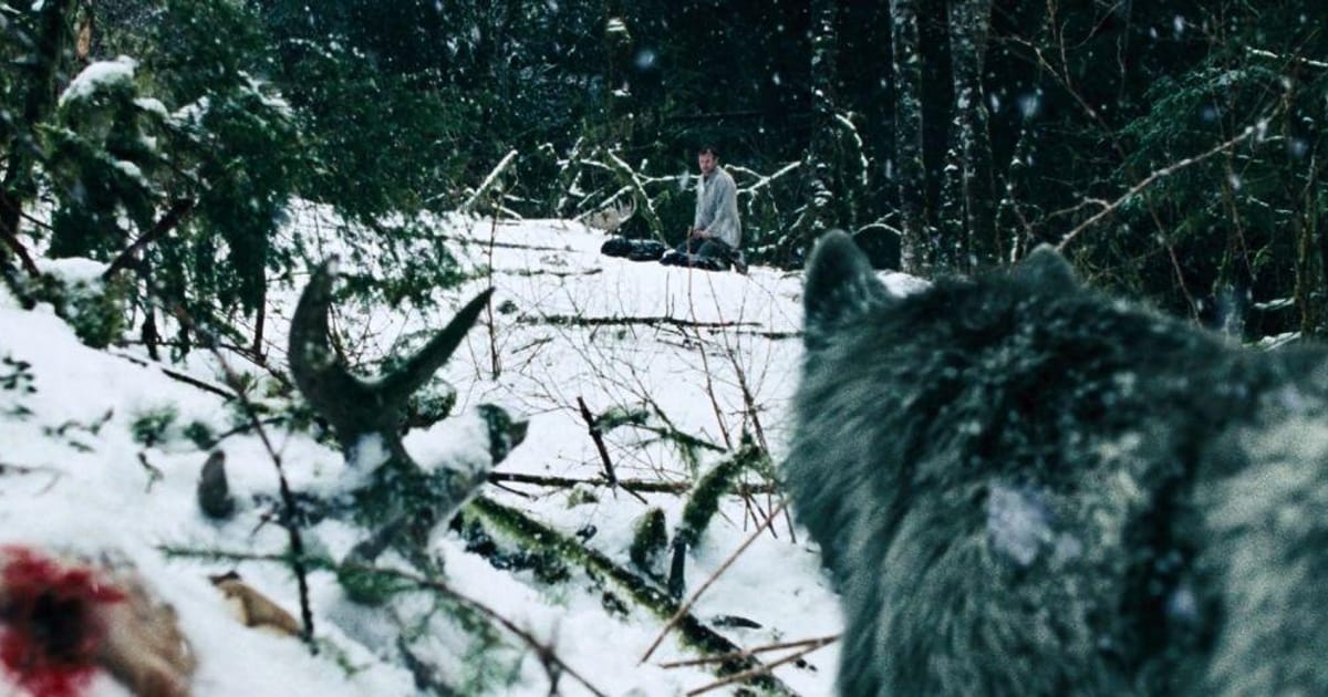 19 Underrated Movies Where Animals Are the Villain