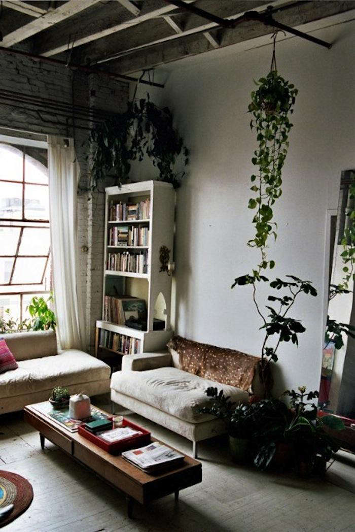 Steal This Look: Isabel Wilson’s House Plants