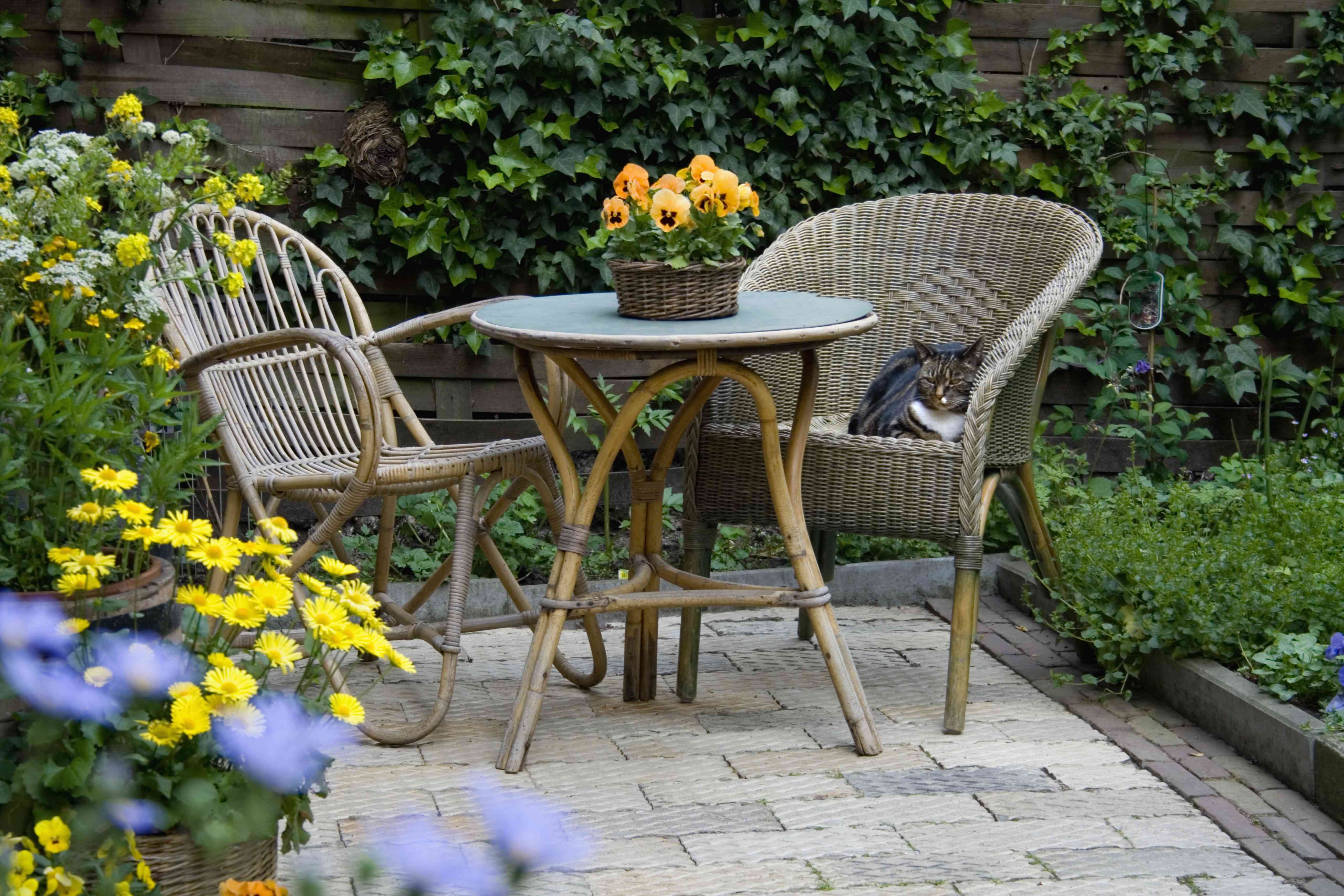 Porch vs. Patio: Key Differences