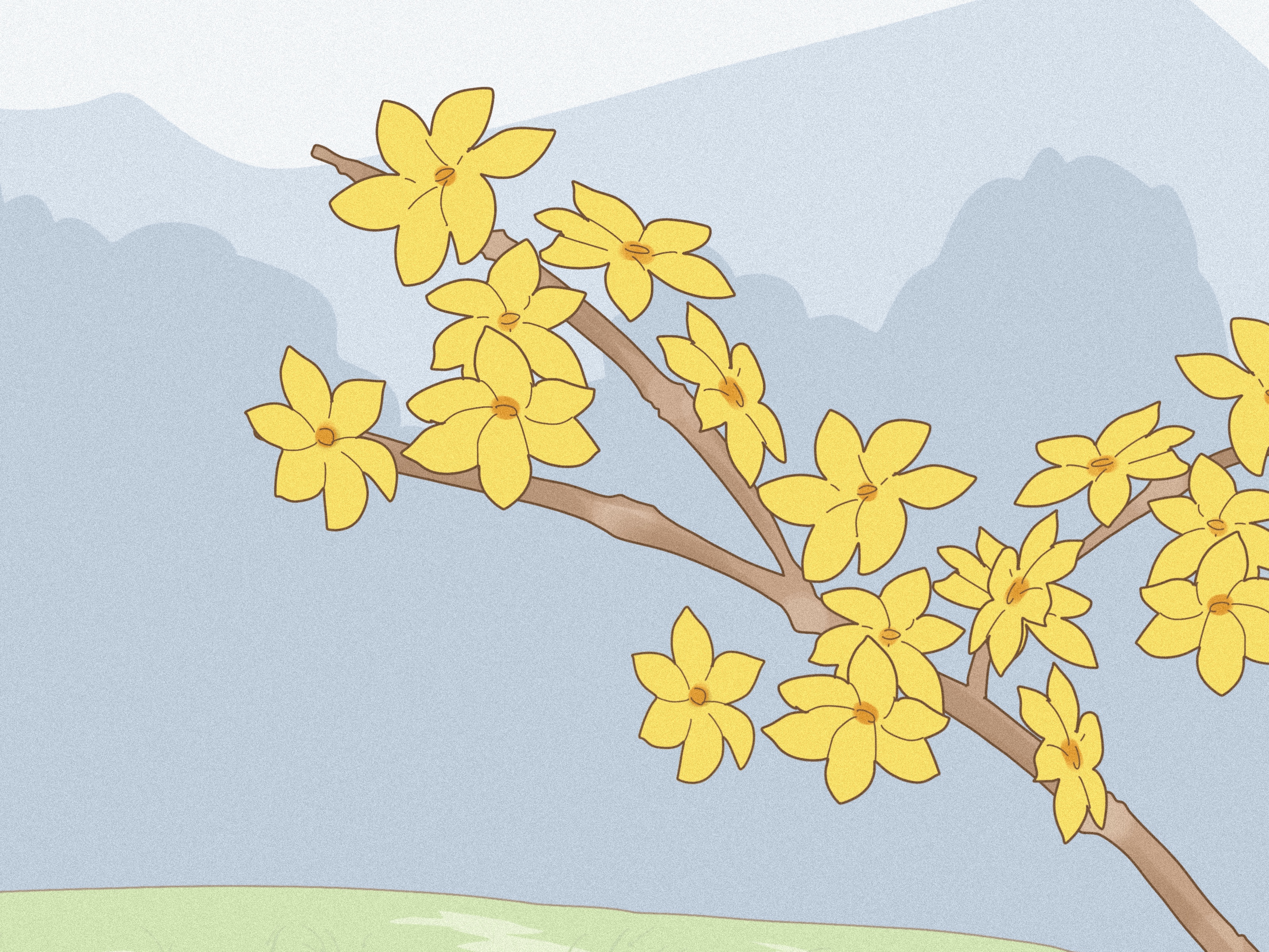 How to Grow Jasmine From Cuttings: Step-by-Step Guide
