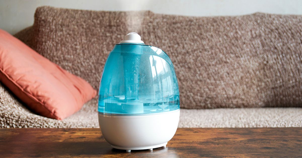 Humidifier for Asthma: Pros and Cons