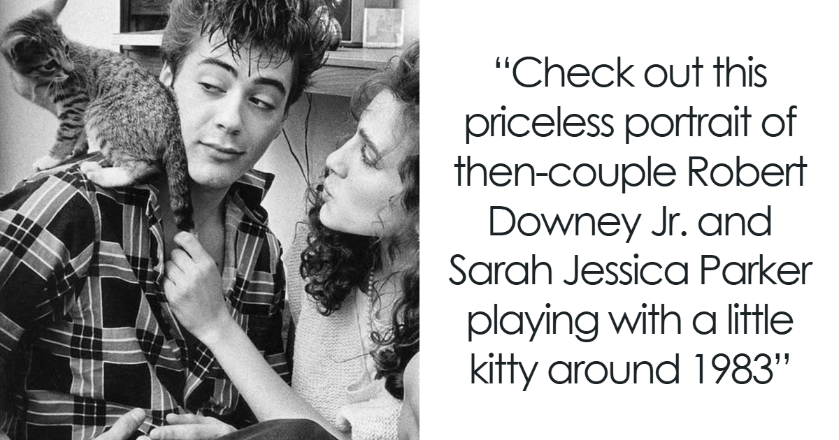 50 Vintage Cat Photos Featuring Celebrities, Historical Moments, And Pure Feline Magic