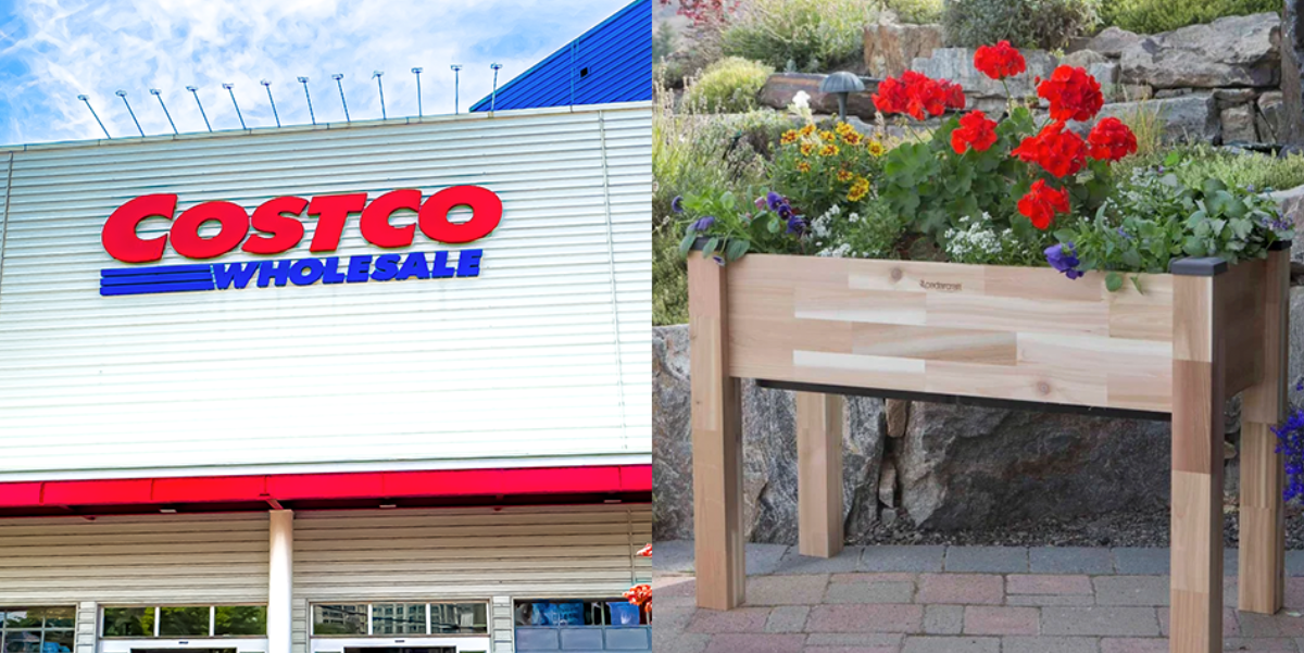 Costco Is Selling a Raised Garden Bed That Waters Itself