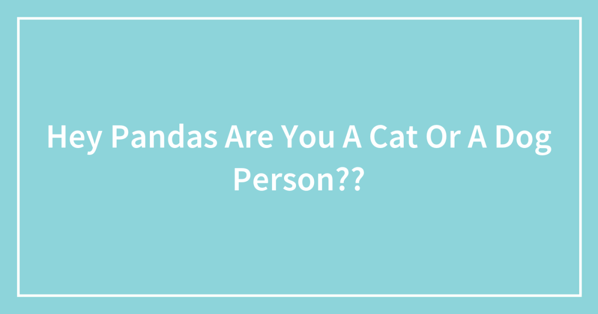 Hey Pandas Are You A Cat Or A Dog Person??