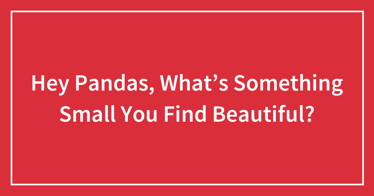 Hey Pandas, What’s Something Small You Find Beautiful?