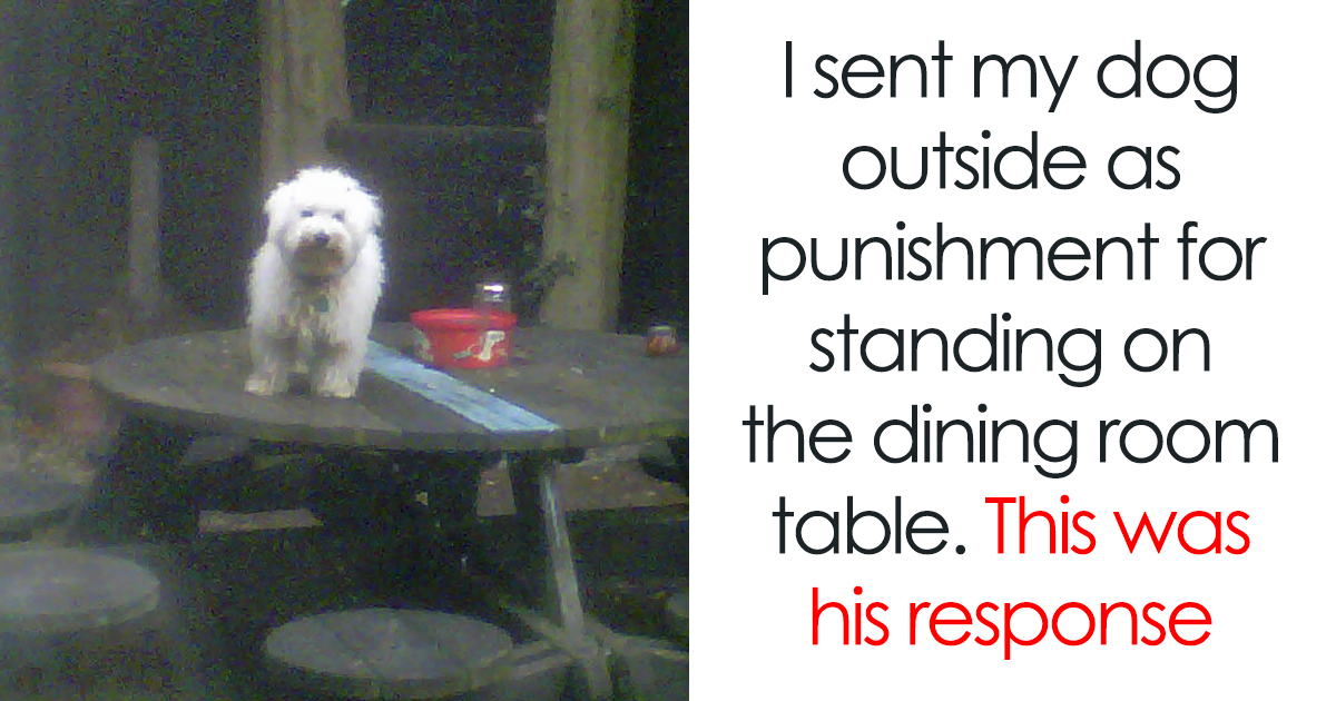 30 Badass Animals Who Don’t Care About Your Stupid Rules