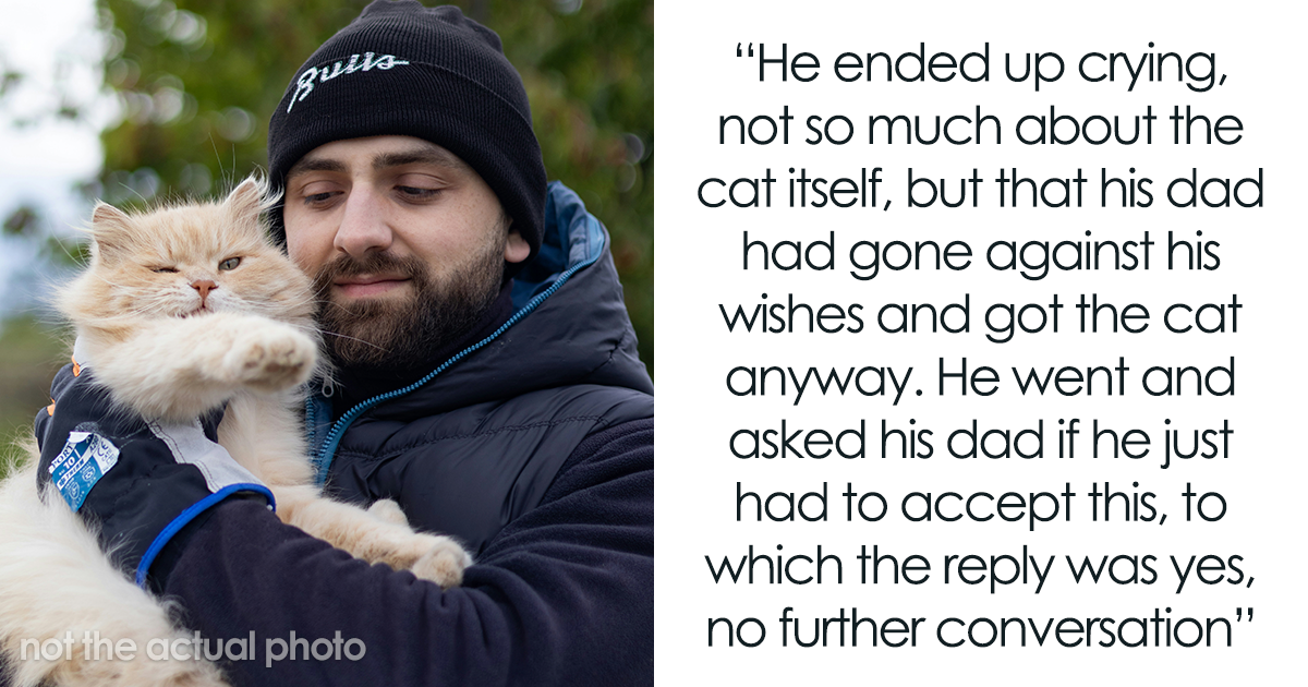 Husband Makes A Selfish Decision To Bring A Kitten Home Without Considering His Family’s Feelings