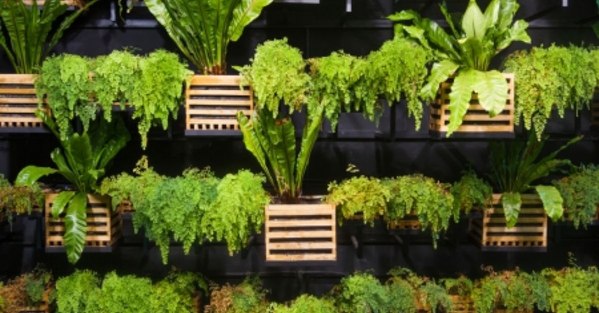 Living Wall: Create a Vertical Garden