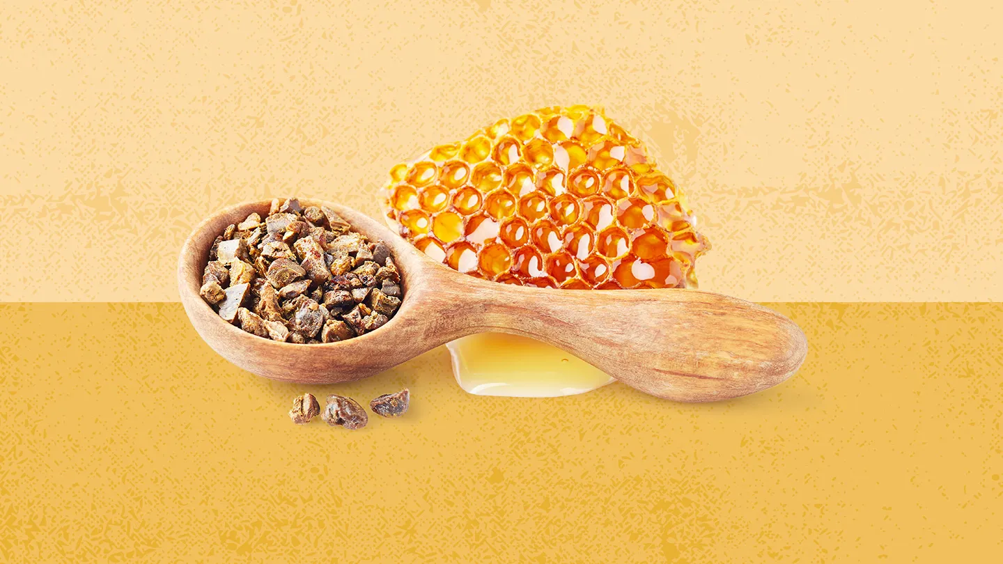 Gut Check: Is Bee Propolis Good for Your Gut Microbiome?
