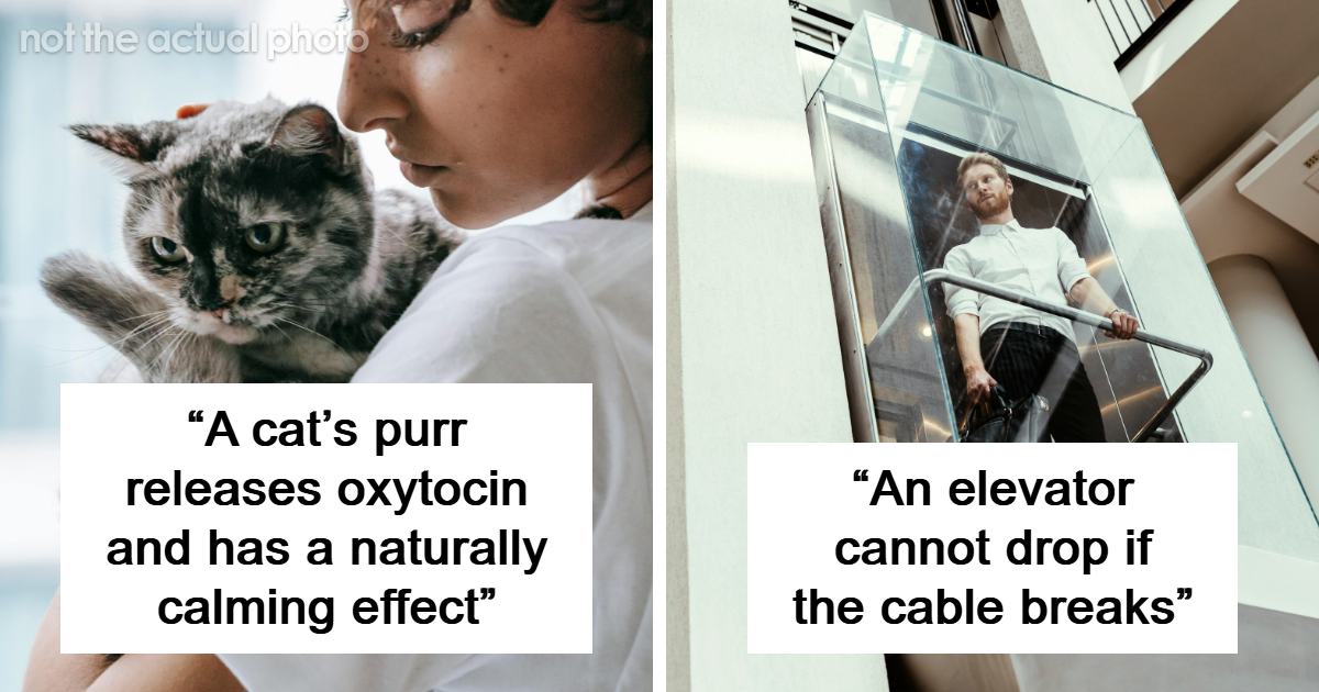 50 Reassuring Facts Not Everyone Might Be Aware Of, According To People Online