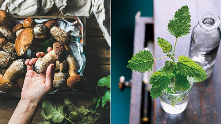 Herpes Treatment: Home Remedies and Complementary Therapies