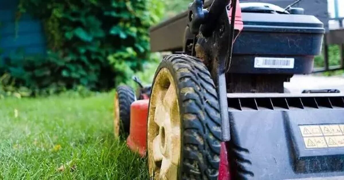 The 7 Best Lawn Mowers of 2022