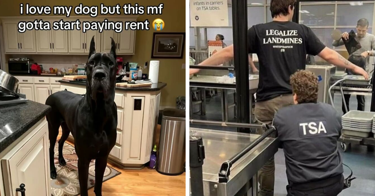 This IG Page Disturbs 200K Fans With Daily Cursed Images And It’s Worse Than You Think