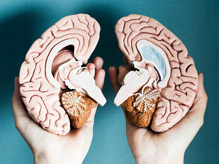 Multiple sclerosis: Brain barrier inflammation may play role