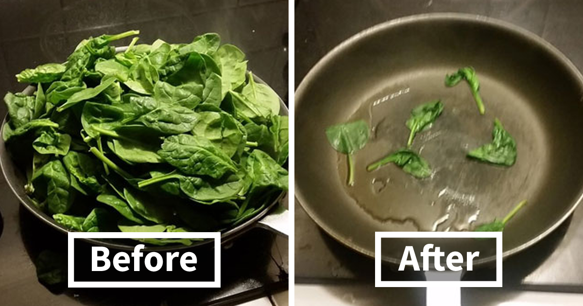35 Hilarious Food Memes