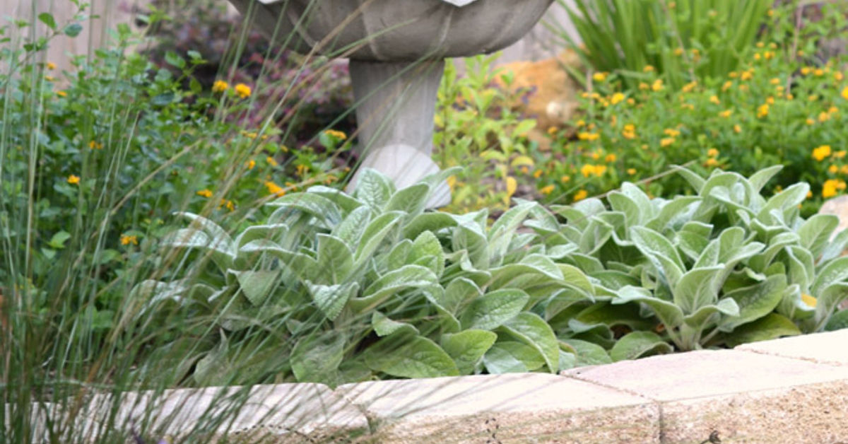 6 Landscaping Tips for Small Yards