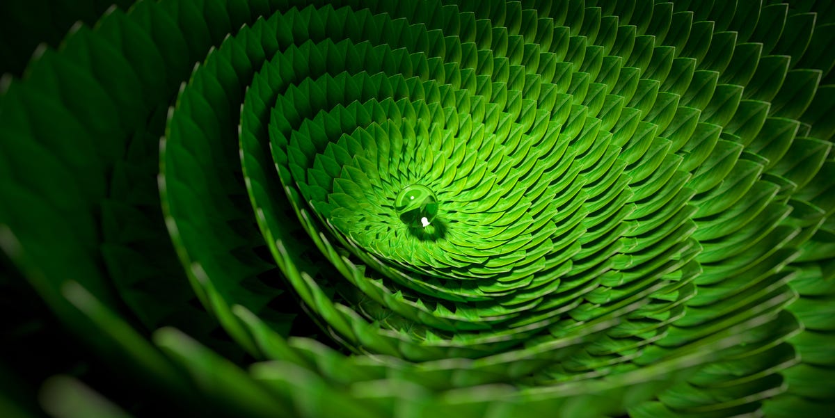 Mathematicians Have Discovered the Secret Geometry of Life