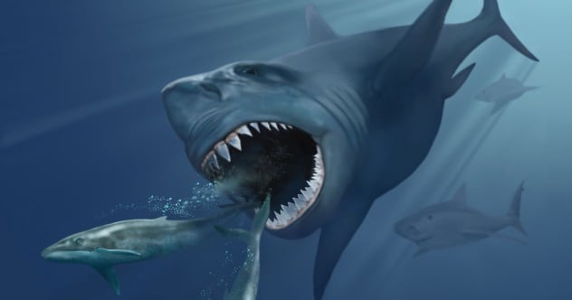 10 Fascinating Facts About The Frightening Megalodon