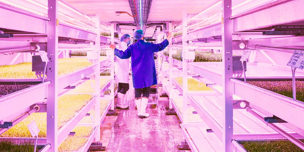 Farming’s Future Is In a Bomb Shelter