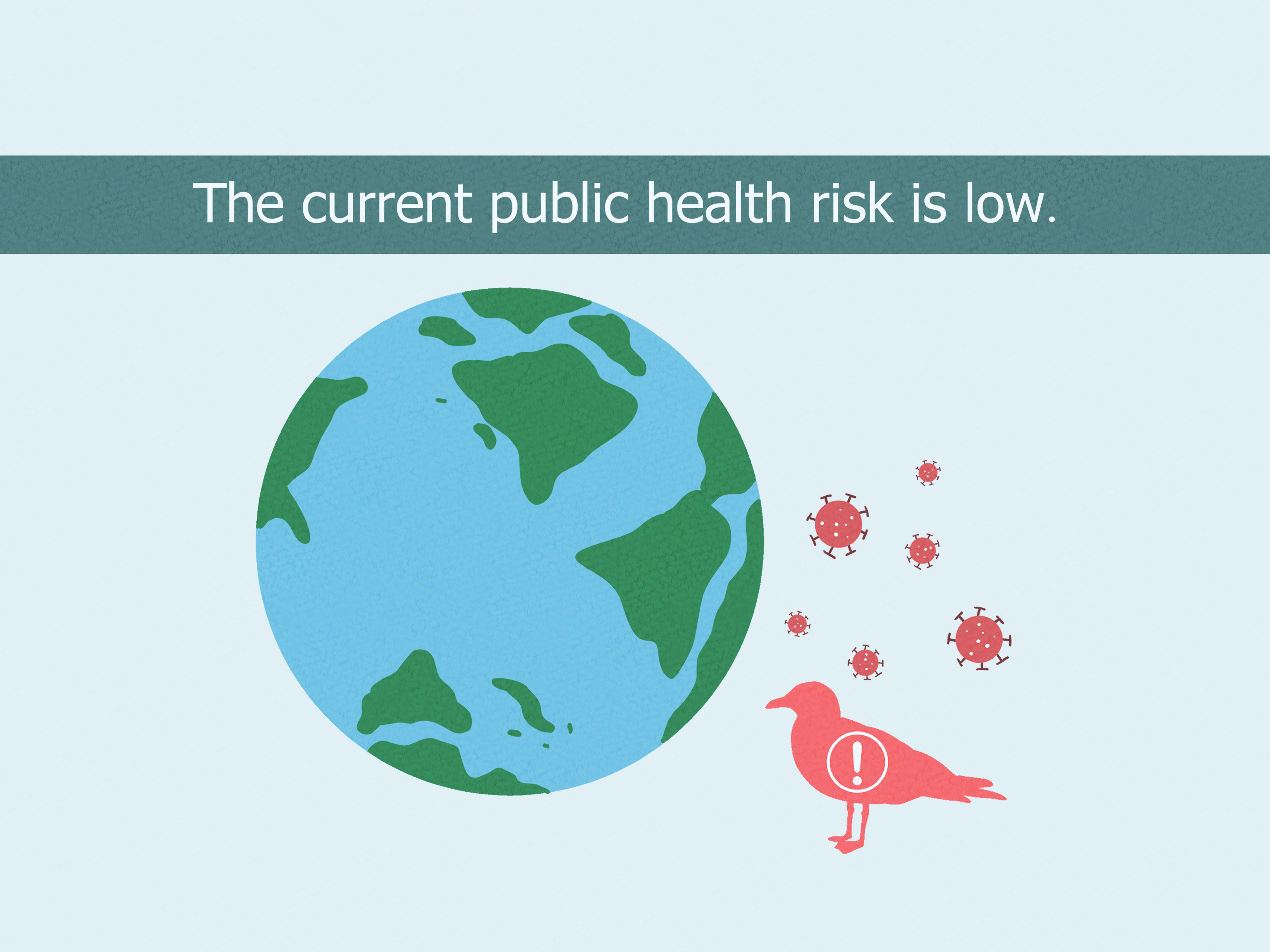 How to Prepare for a Bird Flu Pandemic: Prevention & More