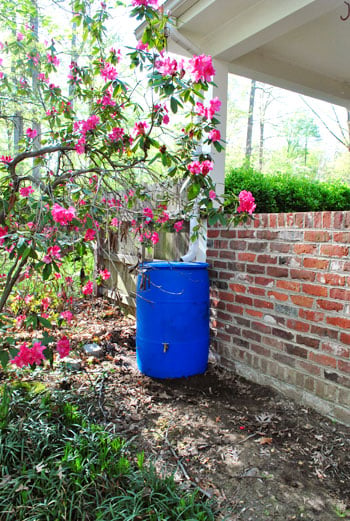 How To Add A Rain Barrel