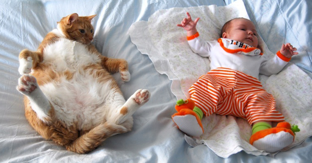 50 Adorable Photos Proving That Your Kids Need A Cat
